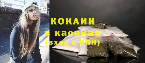 меф Арсеньев