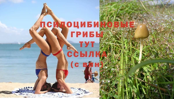 амф Армянск