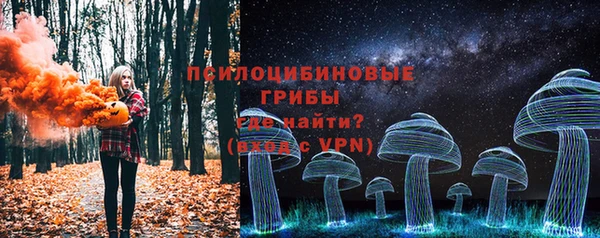 меф Арсеньев